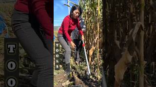 Amazing Super Practical Agricultural Tools for Rural Farmer 🥱🌽👍 shorts satisfying youtubeshorts [upl. by Pradeep121]