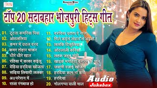 Bhojpuri Nonstop Top 20 Hits Song  बरफ के पानी  Piya Chhod Dihin Na  Latest Bhojpuri Song 2024 [upl. by Eeleak]