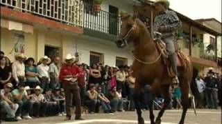 Cuautla Jal Caballos Bailadores en fiestas patronales [upl. by Hamal]