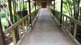 Pachira Lodge  Hotels in the Tortuguero area of Costa Rica [upl. by Ahsekel]