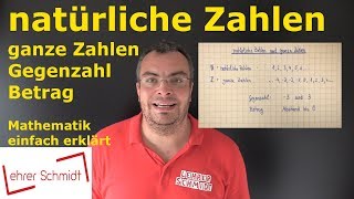 natürliche Zahlen amp ganze Zahlen  Mathematik  einfach erklärt  Lehrerschmidt [upl. by Worthington]