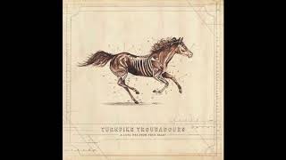 Turnpike Troubadours  Unrung  A Long Way From Your Heart [upl. by Lucinda612]