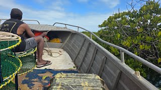 Stanage bay ultimate pro crabber [upl. by Ballman461]