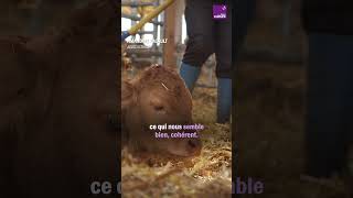 Amandine agricultrice bio fait passer ses valeurs avant les rendements [upl. by Zelig]