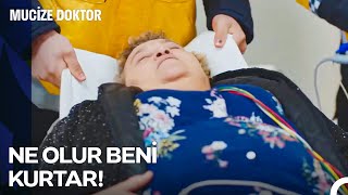 Unutulmaz Vakalar 44 Bir Dodo Hikayesi  Mucize Doktor [upl. by Ahsirt]