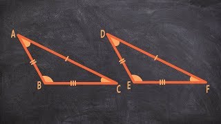 What are Congruent Shapes  Congruent Triangles [upl. by Arriaet]