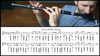 Tuto Irish Flute  Aines Polka Emin [upl. by Enymsaj956]