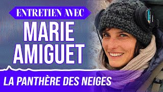 DOCU quotLa Panthère des neigesquot  entretien avec Marie Amiguet coréalisatrice du film [upl. by Felicie920]