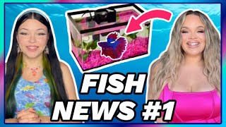 FISH NEWS 1 Trisha Paytas Fish Tank Fish Falls From Sky Epcot Sea Base Rennovations [upl. by Winou]