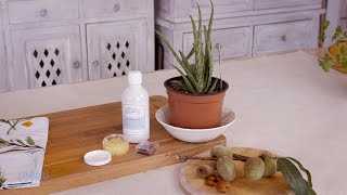 How to make Aloe Vera Eye Serum [upl. by Mandler]