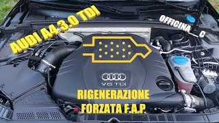 Rigenerazione Forzata FAP VCDS Audi A4 30 TDI [upl. by Elgar]