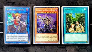 Ogdoadic Deck Profile Yugioh 2021 New Ancient Guardians Deck [upl. by Victory]