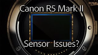 Canon R5 Mark II  Sensor Issues Dynamic Range Loss Does it matter [upl. by Norrahc606]