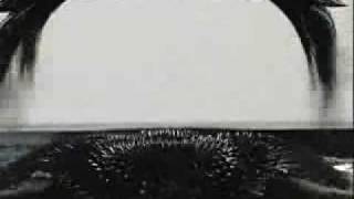 Protrude Flow  Ferrofluid Installation [upl. by Alberta]