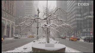 New York débute le printemps sous la neige [upl. by Durrej]