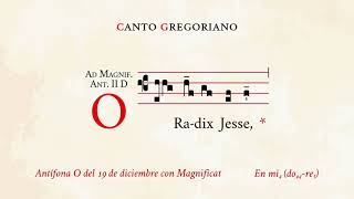 «O Radix Jesse amp Magnificat» – Antífona O del 19 de diciembre – Canto Gregoriano [upl. by Erna]