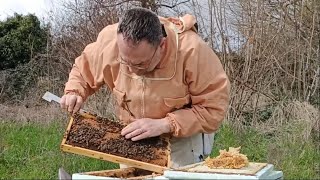 Comment aider vos abeilles à se développer rapidement  Quelques réponses  Apiculture S03E03 [upl. by Naed]