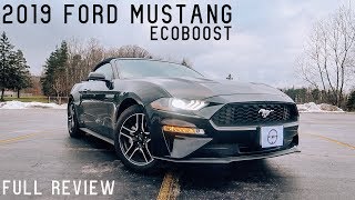 2019 Ford Mustang EcoBoost  Full Review amp Test Drive [upl. by Ecinue]