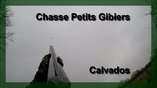 Chasse Petits Gibiers Hiver 20172018  Bécasse  Pigeon [upl. by Yecad]