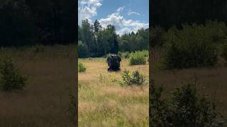 Cforce 600 wheelie cfmoto wheelie fourwheeler atv quadbike [upl. by Iglesias417]