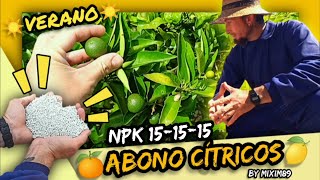 Abonado en Cítricos FERTILIZACIÓN en VERANO NPK Triple 15 en Naranjos y Limoneros by mixim89 [upl. by Collayer]