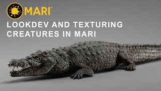 Mari  Texture Creatures for VFX  Look Dev first pass [upl. by Busiek692]