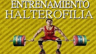 ENTRENAMIENTO HALTEROFILIA COMPLETO  AESTHETIC CLIPS [upl. by Sej117]