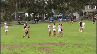 Rowville Balwyn Highlights 2024 [upl. by Modla]