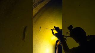 Stuck Him bowfishing fishing archery blowgunfishing blowgun carpfishing bwfilms bw [upl. by Ahsilad]