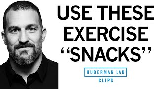 quotExercise Snacksquot to Improve amp Maintain Fitness  Dr Andrew Huberman [upl. by Ming]