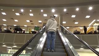 ⬆️📚Riding Up the Escalator at Barnes amp Noble in Brookfield Square [upl. by Juliet]