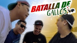 BATALLA DE GALLOS CON LUISITO REY Y TEAM JUKI  GUATSI VLOG [upl. by Obaza]