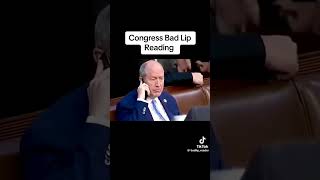 Bad Lip Reading  Congress Edition [upl. by Altman291]