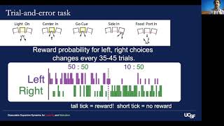 Dissociable Dopamine Dynamics for Learning and Motivation [upl. by Modestia]