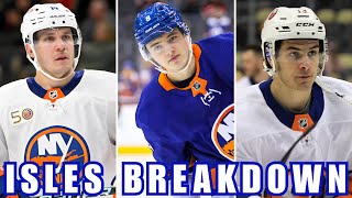 Will the Islanders Make it BACK to the NHL Playoffs This Year [upl. by Ahsocin800]