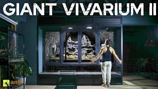 I Built My Next Giant Vivarium II and Its Ready For Life [upl. by Flodnar]