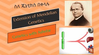 Extension of Mendelian Genetics Amharic ለመውጫ ፈተና ለመዘጋጀት ለእጽዋት ሳይንስ እና ተዛማጅ መስኮች ምርጥ አጋዥ ቪዲዮ [upl. by Ettezzil]