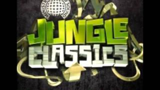 Jungle Classics  Champion Sound [upl. by Flight]