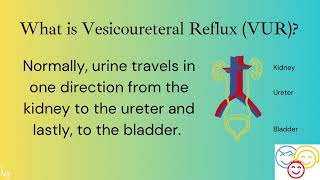 Vesicoureteral Reflux and Deflux [upl. by Sillig]