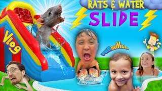 RATS amp Thunderstorm INFLATABLE SLIDE Fun FUNnel Vision Summer Vlog [upl. by Atinehc356]