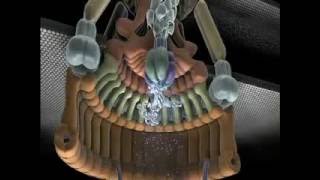 Bacterial Flagellum  A Sheer Wonder Of Intelligent Design – video [upl. by Ecire]