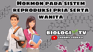 hormon hormon yg terlibat didalam sistem reproduksi pria dan wanita beserta fungsinya  biologi SMA [upl. by Asaph651]