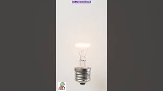 Incandescent bulb [upl. by Fortune]