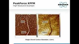 AFM  High Resolution Quantitative Kelvin Probe Force Microscopy Principles amp Applications  Bruker [upl. by Enimzzaj]