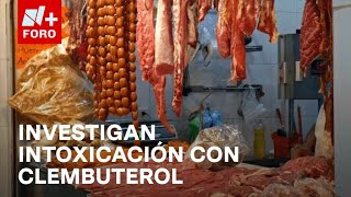 Revisan negocios en Tolimán Querétaro tras 64 intoxicados de Clembuterol  Las Noticias [upl. by Gates]