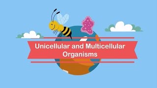 Unicellular and Multicellular Organisms [upl. by Raddie]