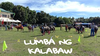 Laughtrip Pa Contest Sa Mga Kalabaw Pinyahan Festival 2022 [upl. by Rodama3]