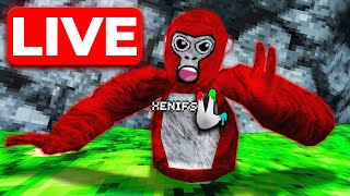 🔴 GORILLA TAG LIVE 🔴 MINIGAMES amp CODES [upl. by Pietje]