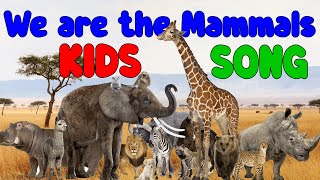 We are the Mammals  Kids Song [upl. by Yekcaj]