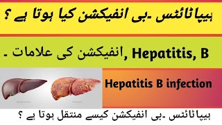 Hepatitis B infection kia hota Hy  Hepatitis B infection ki Aalamaath kia hy  transmission [upl. by Avera577]